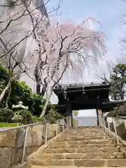 法輪寺(東京都)