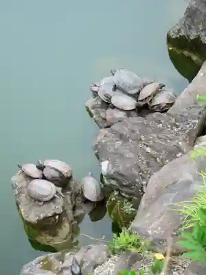 亀戸天神社(東京都)