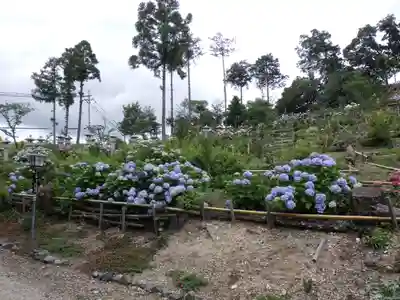 富士浅間神社の自然