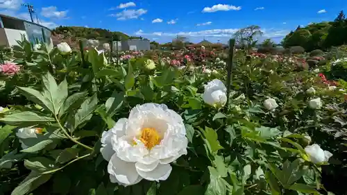 金蛇水神社の自然