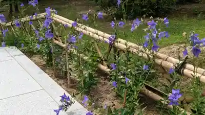  智積院(京都府)