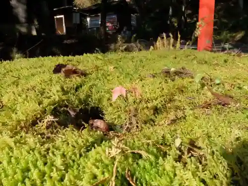 貴船神社奥宮(京都府)