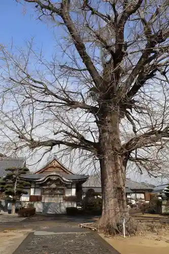 地蔵寺(徳島県)