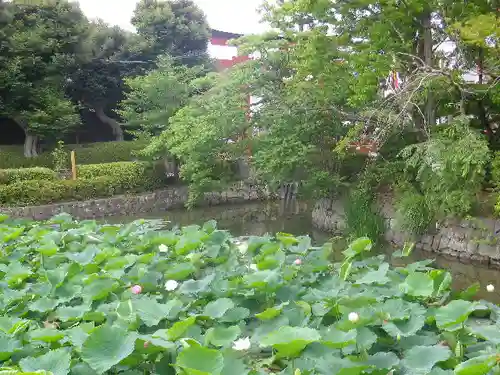 鶴岡八幡宮の庭園