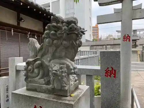 荻窪白山神社の狛犬