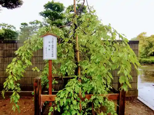 一言主神社の庭園