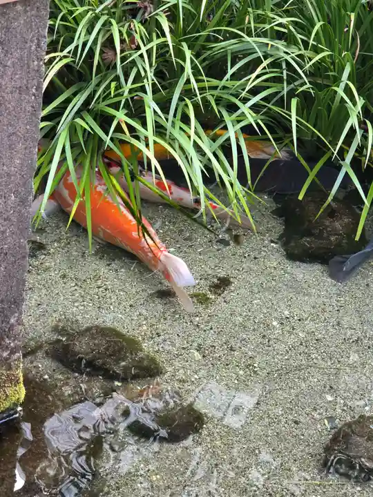 厳嶋神社(東京都)