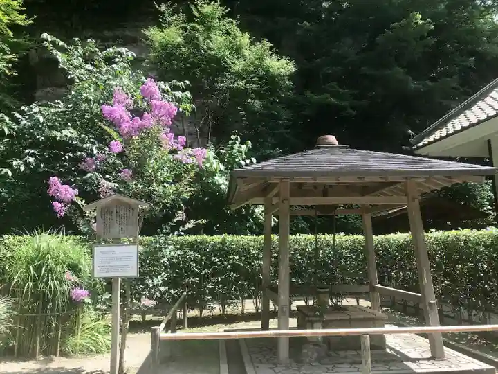 明月院(神奈川県)