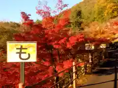 足利織姫神社の自然