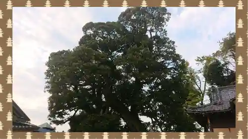 九重神社(埼玉県)