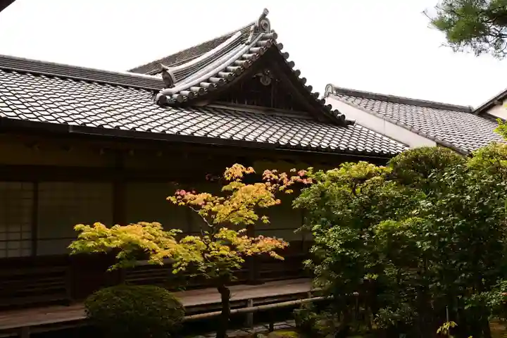 二尊院(京都府)