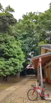 日枝神社(千葉県)