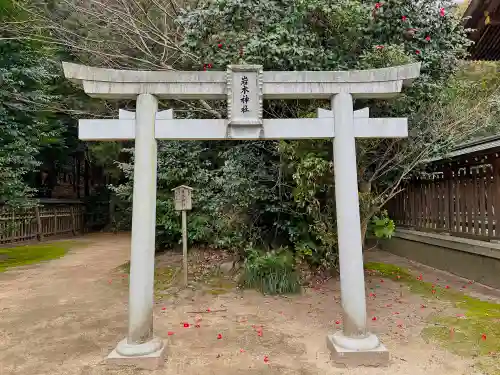 速谷神社の鳥居