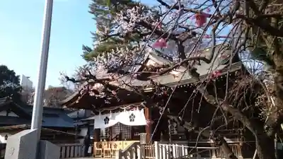 布多天神社の本殿・本堂