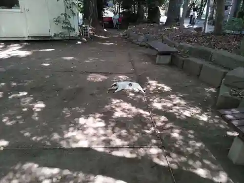 代々木八幡宮のその他建物