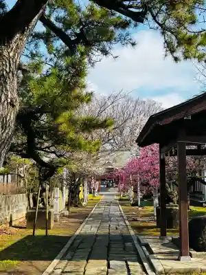 菅原神社の{uncategorized: "未分類", other: "その他", undefined: "問題あり", building: "その他建物", grave: "お墓", sacred_gate: "鳥居", guardian: "狛犬", statue: "像", buddha: "仏像", history: "歴史", nature: "自然", garden: "庭園", animal: "動物", pagoda: "塔", temizu: "手水舎", mountain_gate: "山門・神門", sanctuary: "本殿・本堂", subordinate: "末社・摂社", art: "芸術", scenery: "景色", jizo: "地蔵", ema: "絵馬", goshuin: "御朱印", omikuji: "おみくじ", items: "授与品その他", amulet: "お守り", goshuincho: "御朱印帳", eats: "食事", festival: "お祭り", votive_dance: "神楽", shichigosan: "七五三参", wedding: "結婚式", experience: "体験その他", initially: "初詣", around: "周辺", anti_infection: "感染症対策"}