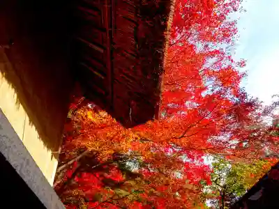 教林坊(滋賀県)