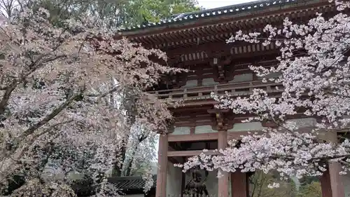 醍醐寺(京都府)