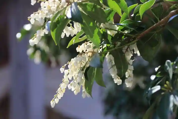 熊野福藏神社の自然