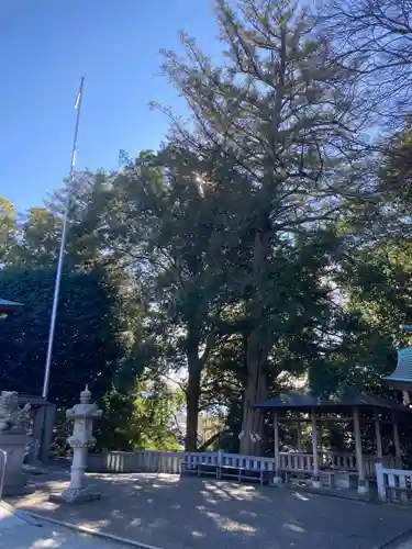 神鳥前川神社(神奈川県)