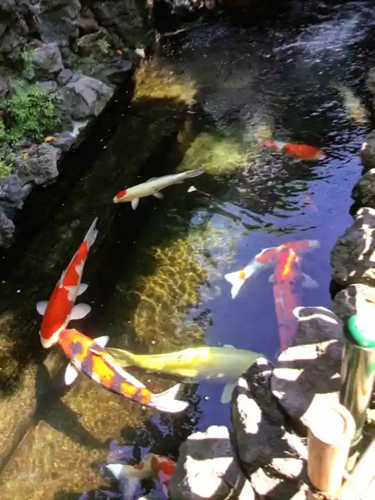 吉原弁財天本宮(吉原神社奥宮)(東京都)
