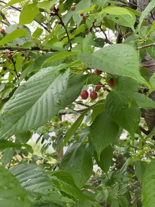 日間賀神社(愛知県)