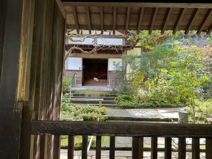 円覚寺(神奈川県)