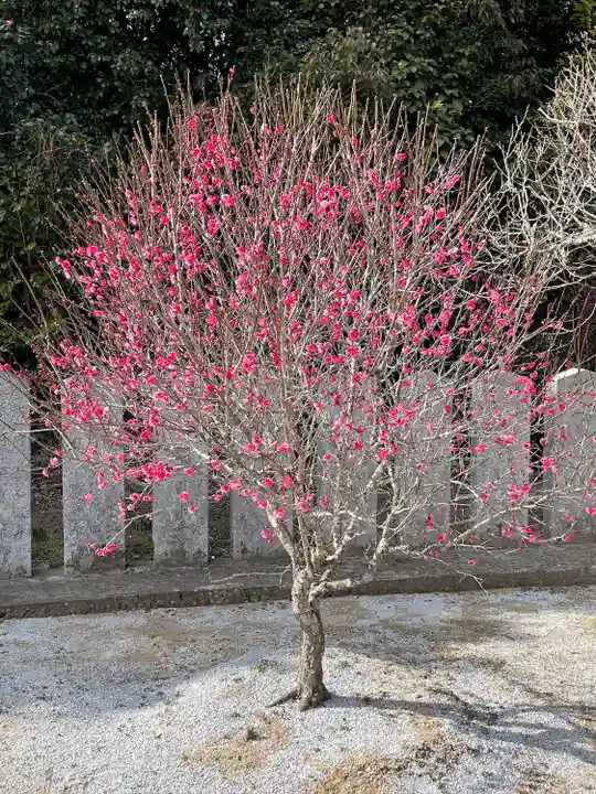 綱敷天満宮の自然