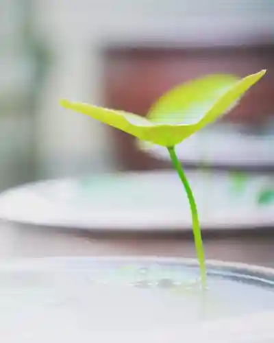 浄土寺(兵庫県)