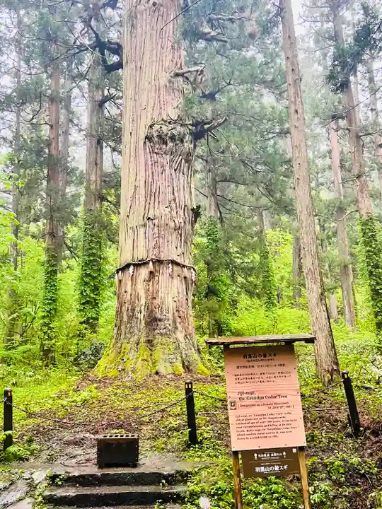 羽黒山五重塔(出羽三山神社)(山形県)