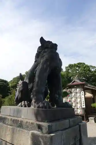 結城神社の狛犬