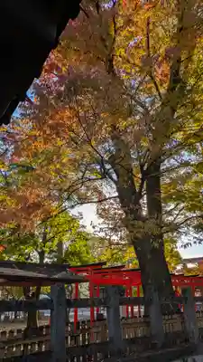 豊国神社(京都府)