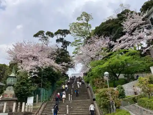 池上本門寺(東京都)