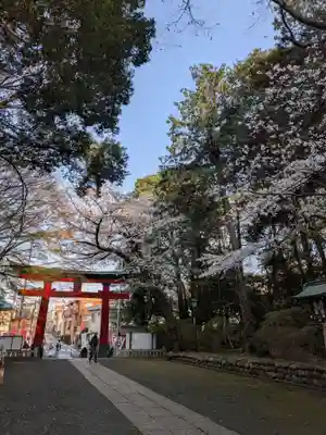 大宮八幡宮(東京都)