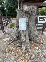 上宮天満宮(大阪府)