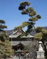 甲斐善光寺(山梨県)