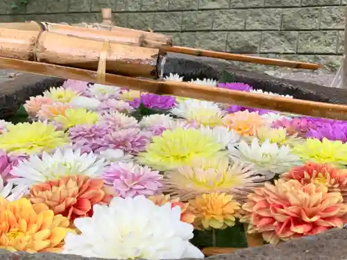 千歳神社の手水