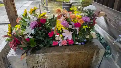 勝林寺(京都府)