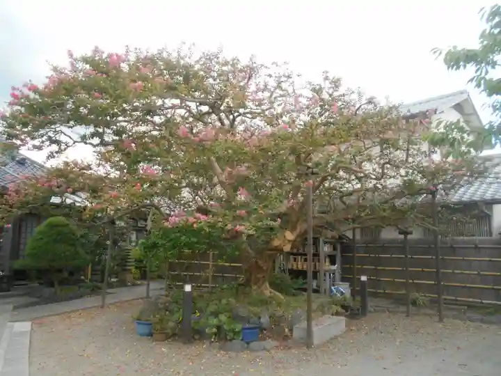 補陀洛寺の自然