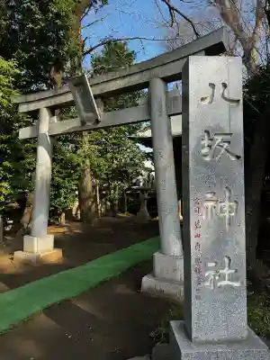 八坂神社の{uncategorized: "未分類", other: "その他", undefined: "問題あり", building: "その他建物", grave: "お墓", sacred_gate: "鳥居", guardian: "狛犬", statue: "像", buddha: "仏像", history: "歴史", nature: "自然", garden: "庭園", animal: "動物", pagoda: "塔", temizu: "手水舎", mountain_gate: "山門・神門", sanctuary: "本殿・本堂", subordinate: "末社・摂社", art: "芸術", scenery: "景色", jizo: "地蔵", ema: "絵馬", goshuin: "御朱印", omikuji: "おみくじ", items: "授与品その他", amulet: "お守り", goshuincho: "御朱印帳", eats: "食事", festival: "お祭り", votive_dance: "神楽", shichigosan: "七五三参", wedding: "結婚式", experience: "体験その他", initially: "初詣", around: "周辺", anti_infection: "感染症対策"}