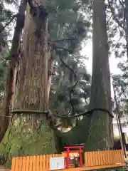 室生龍穴神社の自然