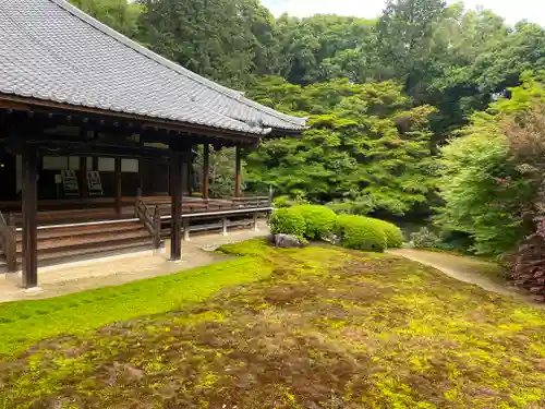 隨心院（随心院）(京都府)