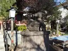 千住本氷川神社の狛犬