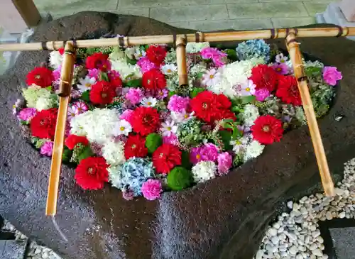 千歳神社の手水