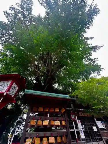 松ヶ崎大黒天 妙圓寺（妙円寺）(京都府)