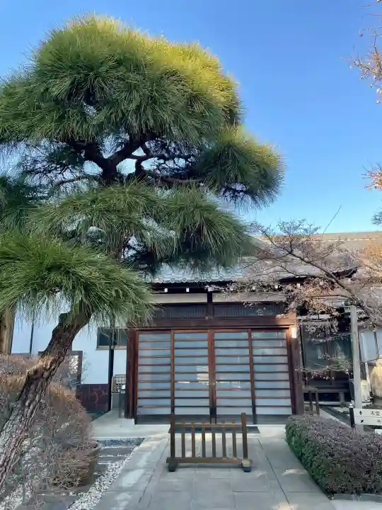尊勝院の{uncategorized: "未分類", other: "その他", undefined: "問題あり", building: "その他建物", grave: "お墓", sacred_gate: "鳥居", guardian: "狛犬", statue: "像", buddha: "仏像", history: "歴史", nature: "自然", garden: "庭園", animal: "動物", pagoda: "塔", temizu: "手水舎", mountain_gate: "山門・神門", sanctuary: "本殿・本堂", subordinate: "末社・摂社", art: "芸術", scenery: "景色", jizo: "地蔵", ema: "絵馬", goshuin: "御朱印", omikuji: "おみくじ", items: "授与品その他", amulet: "お守り", goshuincho: "御朱印帳", eats: "食事", festival: "お祭り", votive_dance: "神楽", shichigosan: "七五三参", wedding: "結婚式", experience: "体験その他", initially: "初詣", around: "周辺", anti_infection: "感染症対策"}
