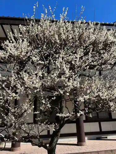 熊野神社(東京都)