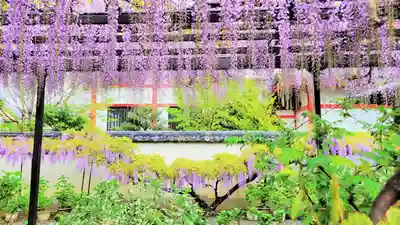 奈加美神社(大阪府)