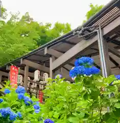 倶利迦羅不動寺山頂本堂の自然