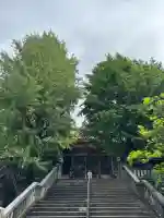 待乳山聖天(本龍院)(東京都)